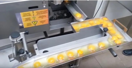Máy tách trứng bán chạy nhất SUS304 Máy phá trứng Máy chế biến trứng lỏng