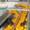 Dây chuyền sản xuất nước ép cam quýt công nghiệp tự động